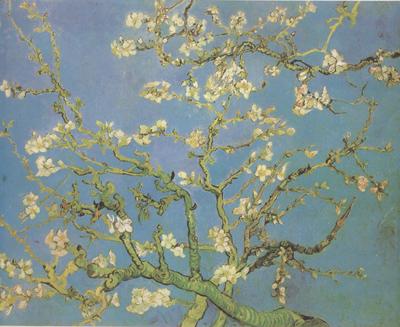 Vincent Van Gogh Blossoming Almond Tree (nn04) Germany oil painting art